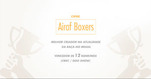 airaf boxers